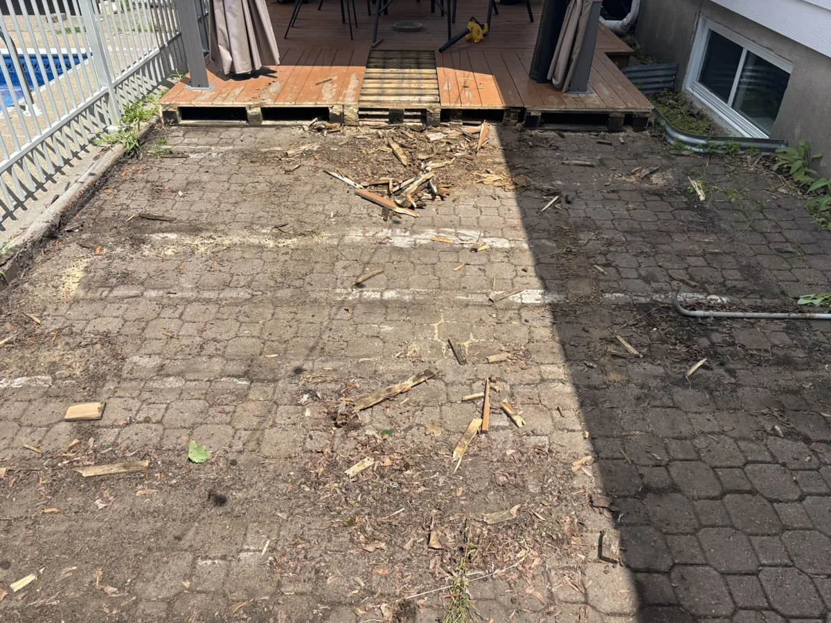 Avant — Patio arrière en pavé uni